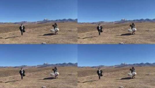 高原枯黄草原雪山情侣奔跑拍写真婚纱高清在线视频素材下载