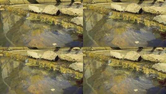 排污水净化小溪沟渠高清在线视频素材下载