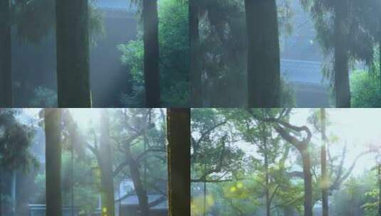 杭州飞来峰灵隐寺烟雾缭绕禅院风景高清在线视频素材下载