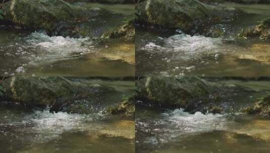 河流流水溪流山泉水酿酒生态酒水环保绿色高清在线视频素材下载