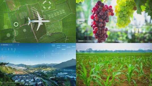 新农业绿色生态合集高清在线视频素材下载