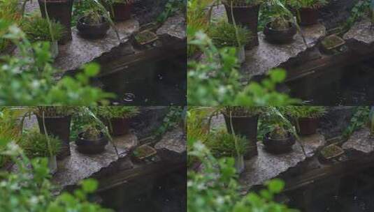 雨天 树木 风景 悠然 院子 造景高清在线视频素材下载