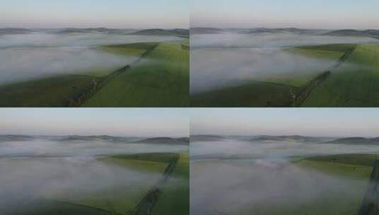 航拍内蒙古垦区晨雾下的大面积农田高清在线视频素材下载