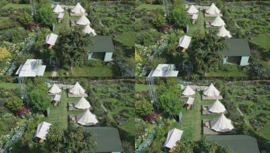 帐篷露营营地花园花海森林树林航拍高清在线视频素材下载
