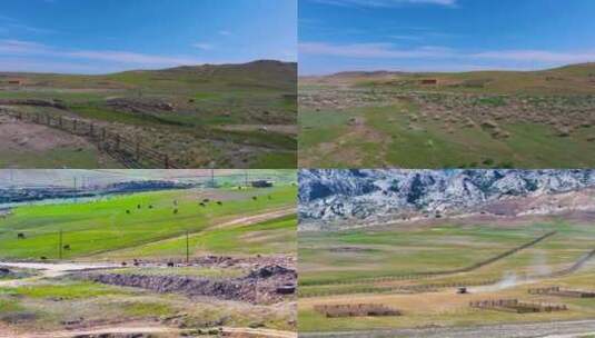 4K航拍新疆那拉提大草原牧场的马儿高清在线视频素材下载