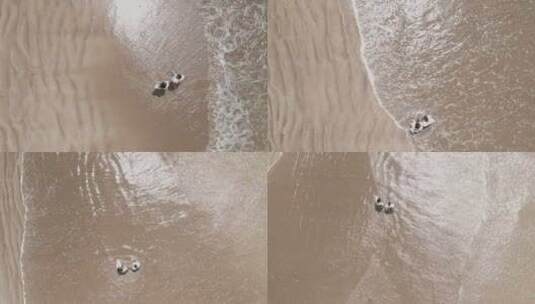 鸟瞰夫妇走在沙滩上高清在线视频素材下载