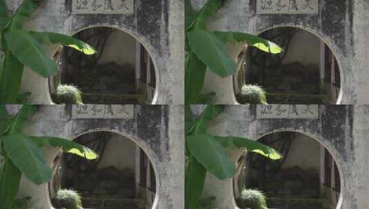 古代建筑圆形门洞和芭蕉树叶高清在线视频素材下载
