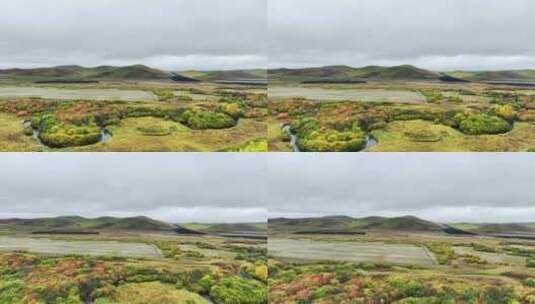 航拍内蒙古呼伦贝尔笑脸形状的湿地秋季景观高清在线视频素材下载