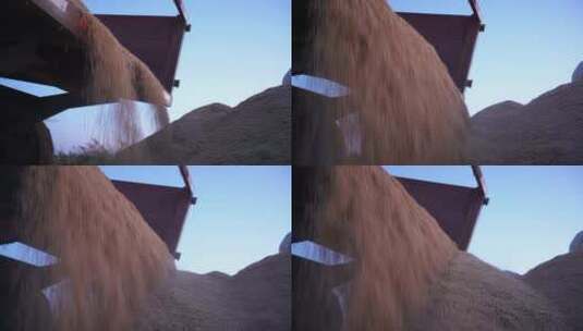 农场装卸稻谷高清在线视频素材下载