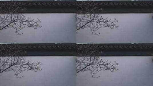 苏州园林-墙高清在线视频素材下载