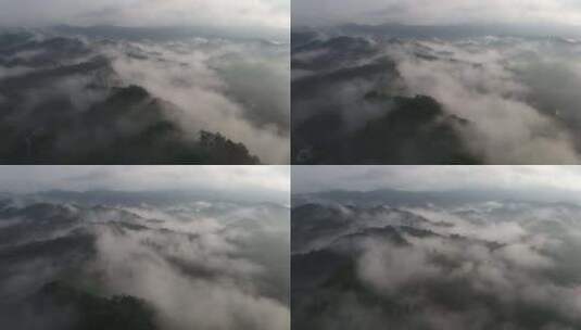 云雾笼罩下的山林高清在线视频素材下载