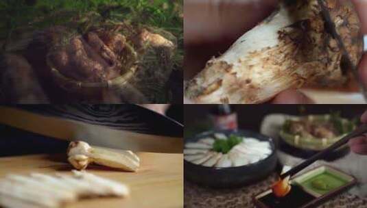 松茸刺身黄油松茸高清在线视频素材下载