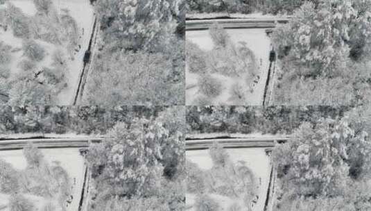 无人驾驶飞机拍摄的汽车在冬季森林道路上行高清在线视频素材下载