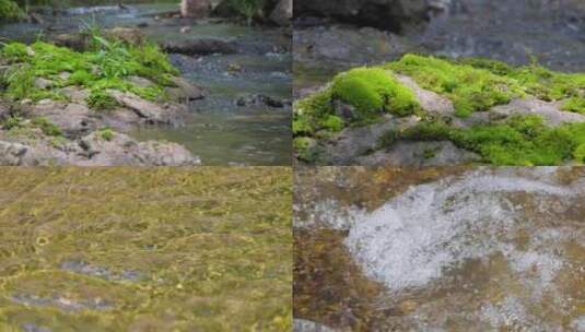 青苔溪流话禅心，水纹水花映空灵，升格特写高清在线视频素材下载