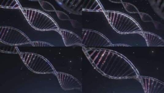 dna，Cgi，双螺旋，3d高清在线视频素材下载