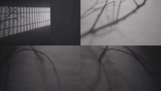 树枝光影墙上树叶树枝光影时间流逝空镜头高清在线视频素材下载