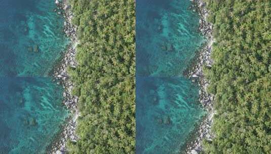 泰国涛岛芒果湾海滩鸟瞰垂直清水丛林热带目高清在线视频素材下载