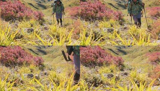 有风的秋日，男人在山上徒步旅行（正视图）高清在线视频素材下载