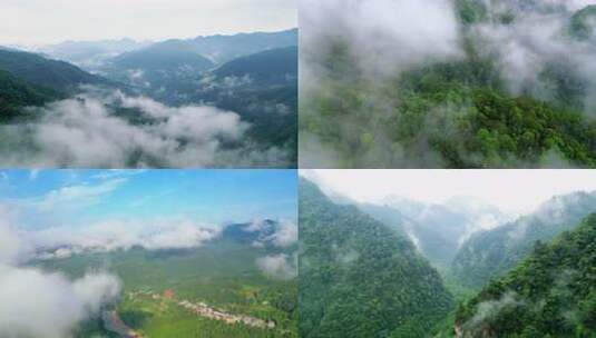 云雾森林树植物护林松树林山川山区高清在线视频素材下载