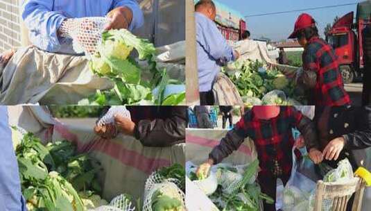 菜花 花菜 有机菜花 花椰菜高清在线视频素材下载