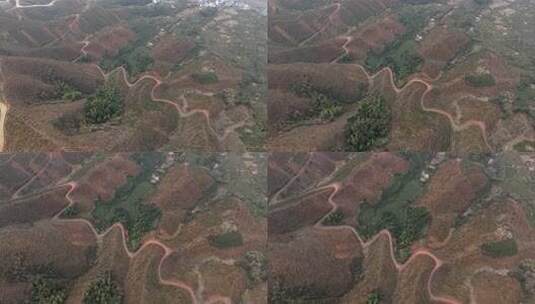 被改造成茶园茶山的山林山坡景色高清在线视频素材下载