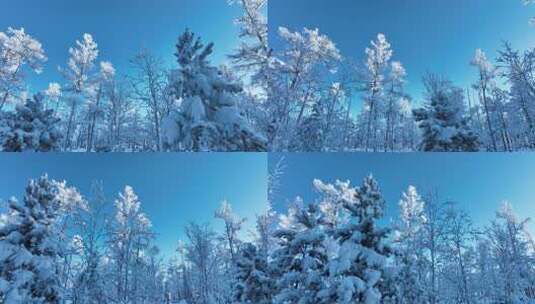 大兴安岭冰雪森林全景高清在线视频素材下载