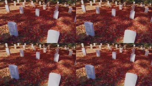 华盛顿国家公墓的墓地高清在线视频素材下载