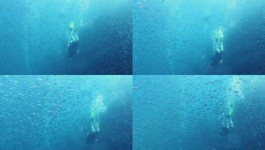 在海里潜水的人高清在线视频素材下载