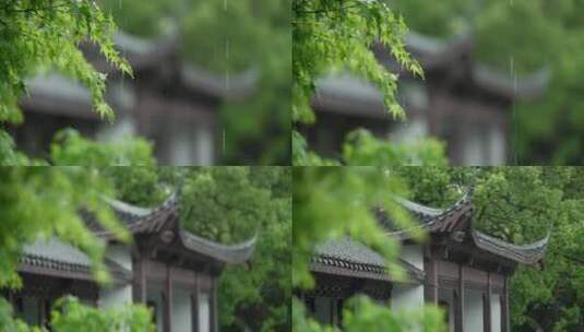 169 杭州 风景 古建筑 下雨天 树叶 亭子高清在线视频素材下载
