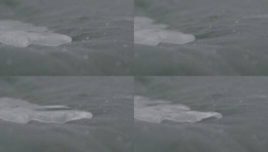 大雨中的荷叶水滴慢镜头LOG高清在线视频素材下载