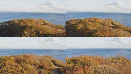 秋季的海岛森林高清在线视频素材下载