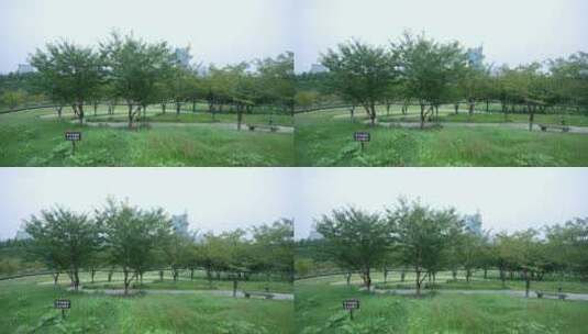 武汉光谷西苑公园风景高清在线视频素材下载