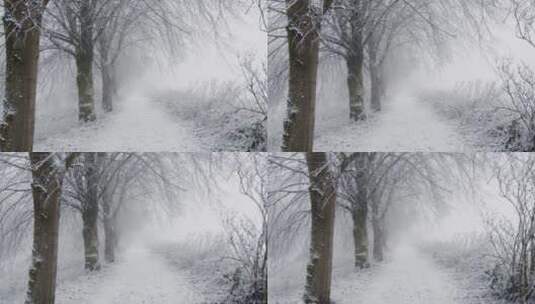 唯美雪景雪地高清在线视频素材下载