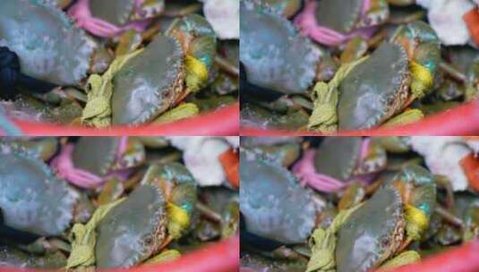 海鲜 青蟹 螃蟹 特写高清在线视频素材下载