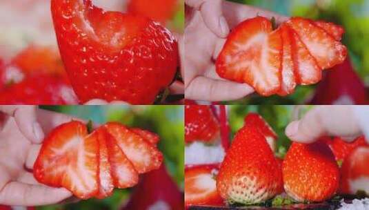 红颜奶油草莓高清在线视频素材下载