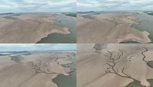鄱阳湖大地之树航拍高清在线视频素材下载