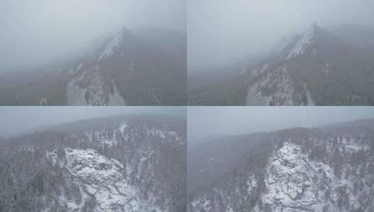 森林降雪鸟瞰图风光美景树林大自然雪花飘落高清在线视频素材下载