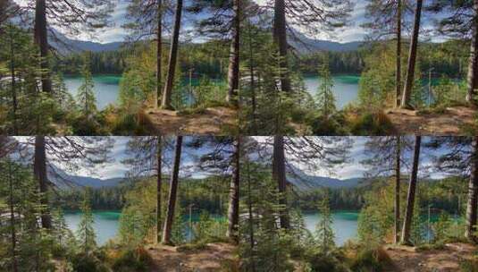 森林全景，后面是巴伐利亚美丽的Eibsee湖，绿松石水，v高清在线视频素材下载