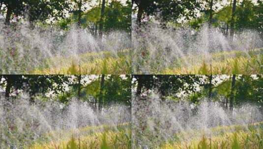 阳光下草坪灌溉喷洒的水雾高清在线视频素材下载