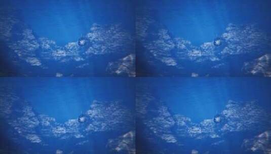 三维鱼海底游动（大目金枪鱼）高清在线视频素材下载