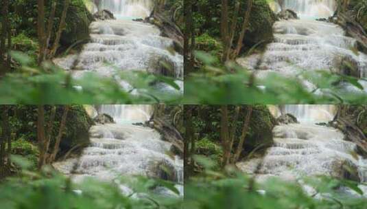 森林中的溪流瀑布高清在线视频素材下载