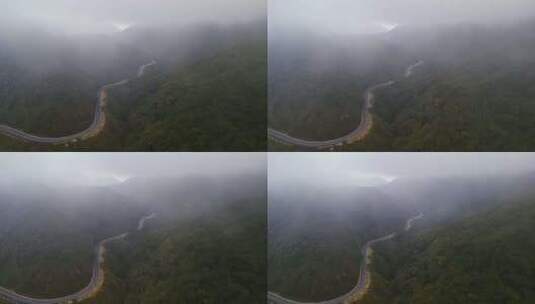 云雾中的原始森林盘山公路高清在线视频素材下载