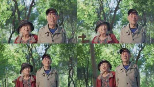 幸福的老年夫妇在公园里散步高清在线视频素材下载