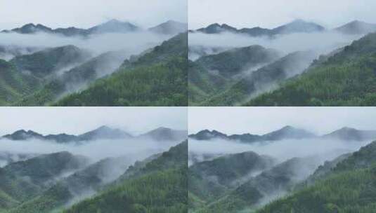 中国广东从化陈禾洞省级自然保护区高清在线视频素材下载