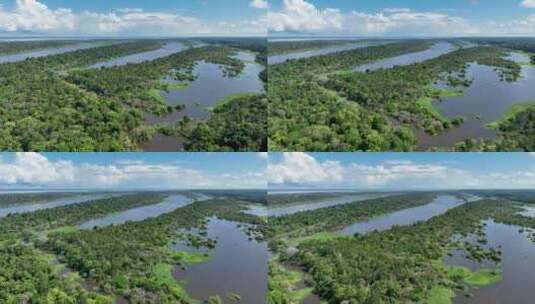 巴西亚马逊州亚马逊森林的壮丽景色。高清在线视频素材下载