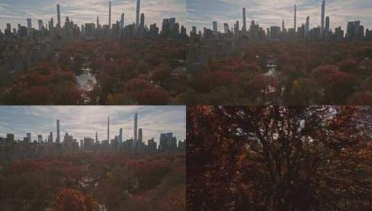 纽约市中央公园俯视图与秋树秋季中央公园视高清在线视频素材下载