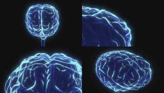 人类大脑模型高清在线视频素材下载