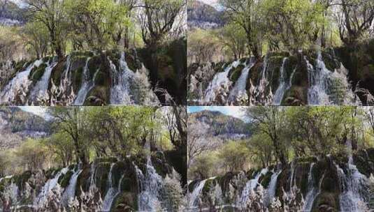 九寨沟箭竹海瀑布水中青苔流水岩石秋天水景高清在线视频素材下载