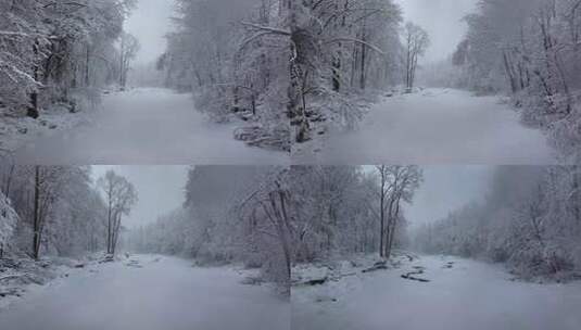 东北冬天暴雪大雪中的林海雪原高清在线视频素材下载