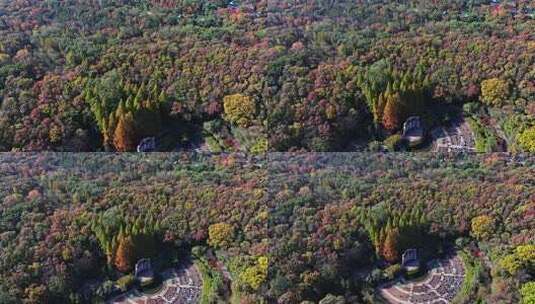 江苏南京中山陵灵山风景区音乐台秋色航拍高清在线视频素材下载